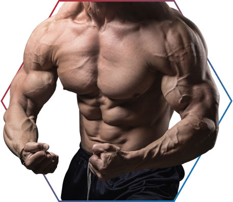 BULKING x CUTTING (Estratégias para ganho de massa muscular