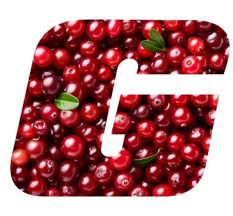 Cranberry (60 cáps) — Growth Supplements