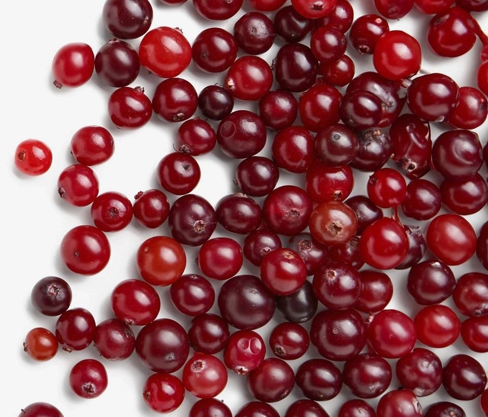 O que é cranberry? Growth Supplements